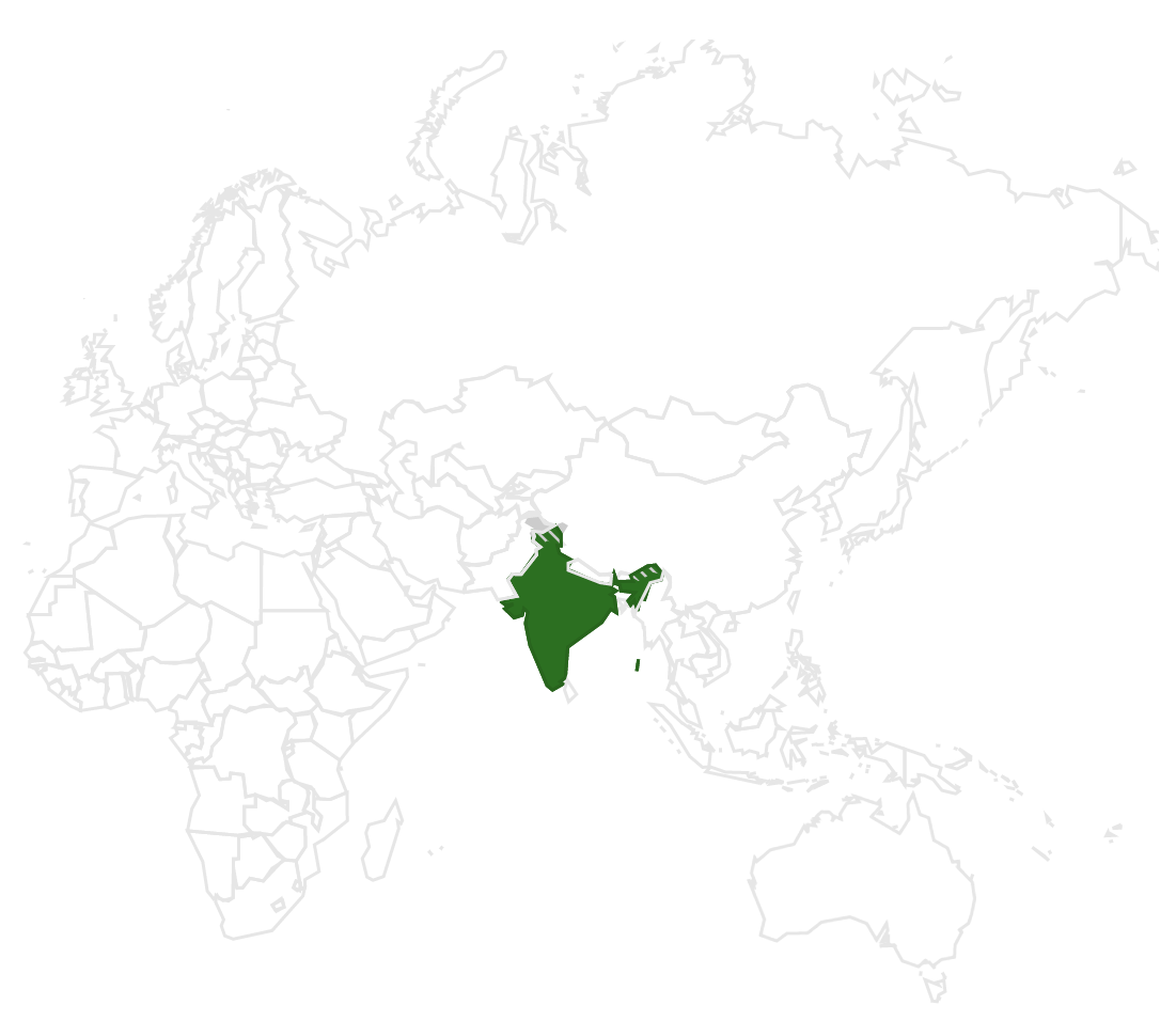 外包软件开发的最佳国家：＃1印度