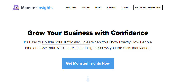 monsterinsights  - 自定義 -  WordPress的