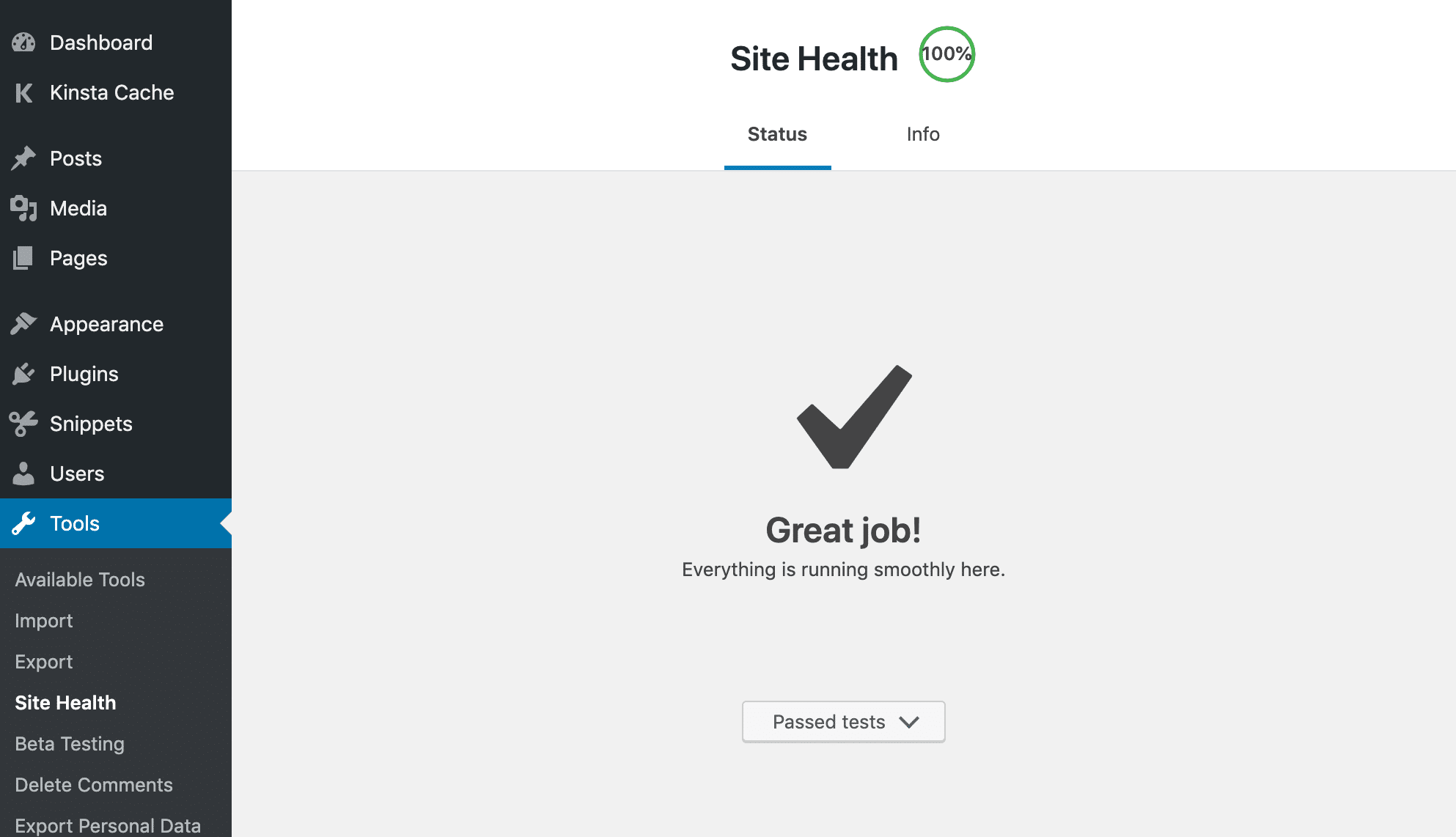 WordPress中的網站健康工具 -  100％得分