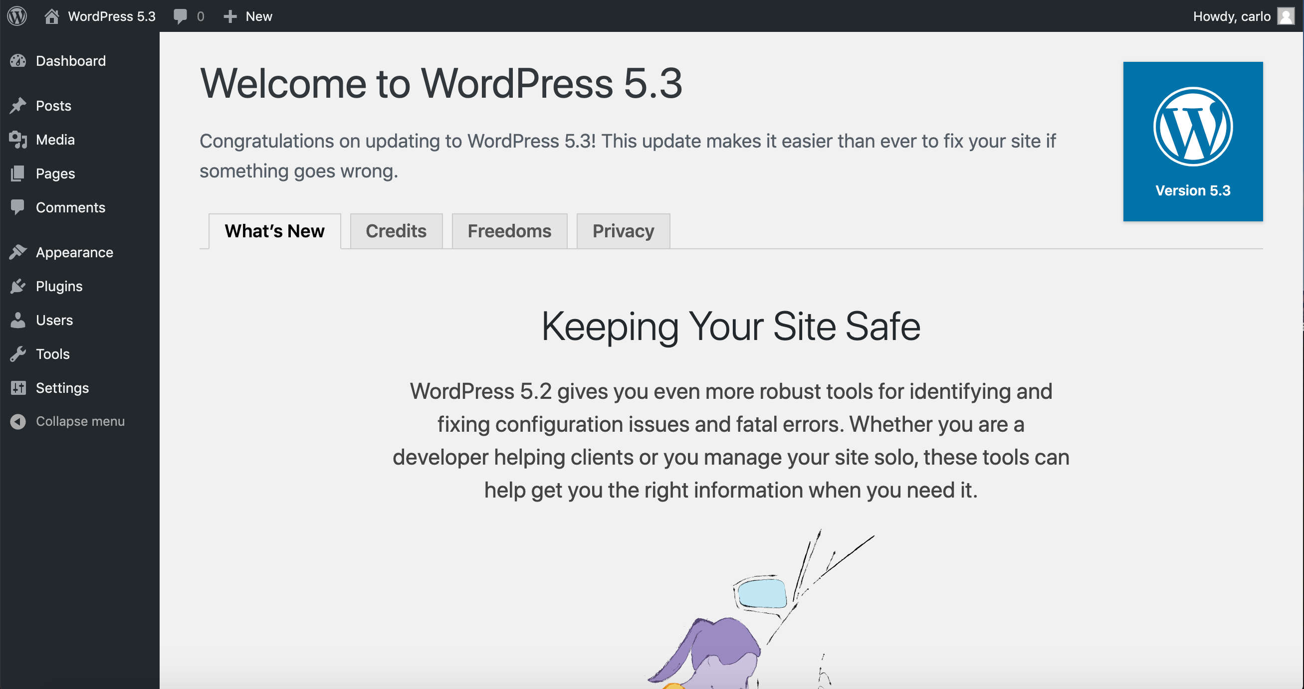 临时WordPress 5.3关于页面