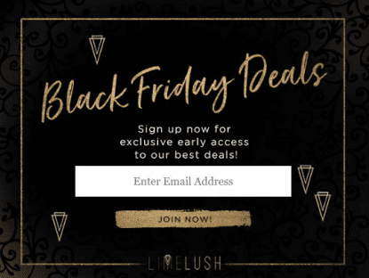 假期电子邮件营销的创意：Lime Lush的黑色星期五促销电子邮件