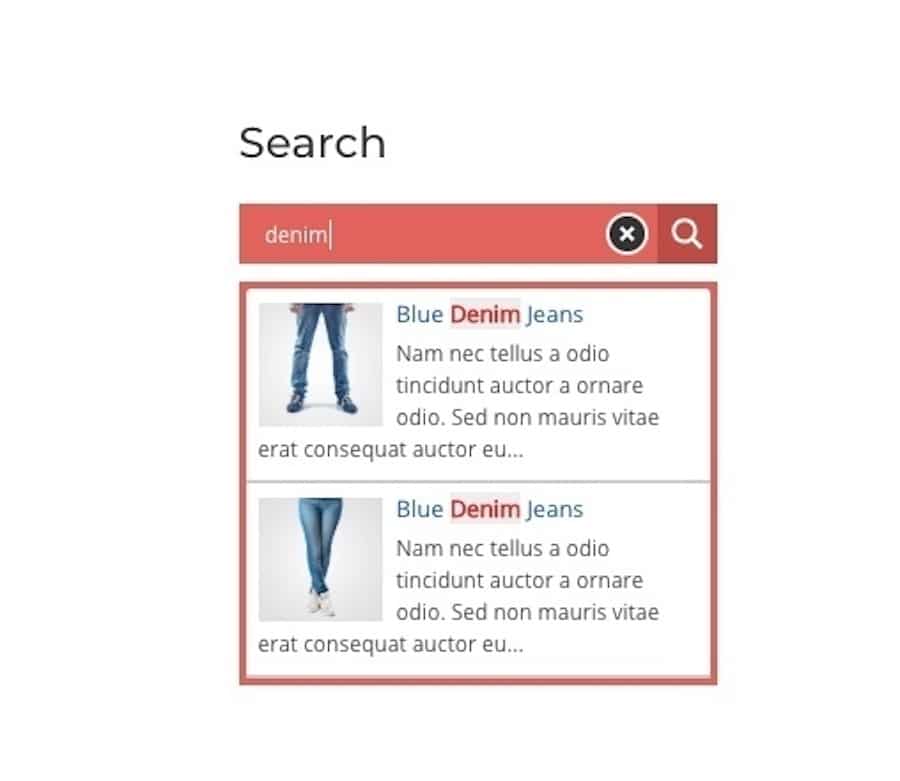 由Ajax Search插件构建的带有关键字突出显示的搜索表单的示例。