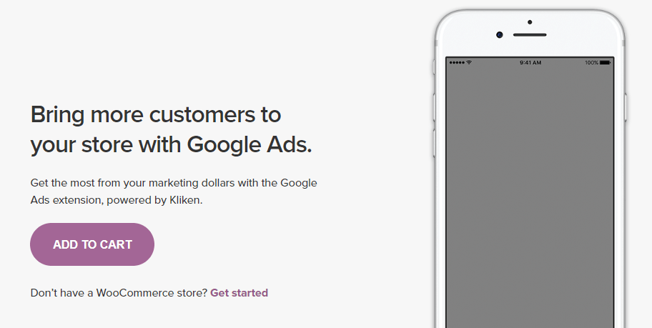 Google Ads for WooCommerce擴展程序。