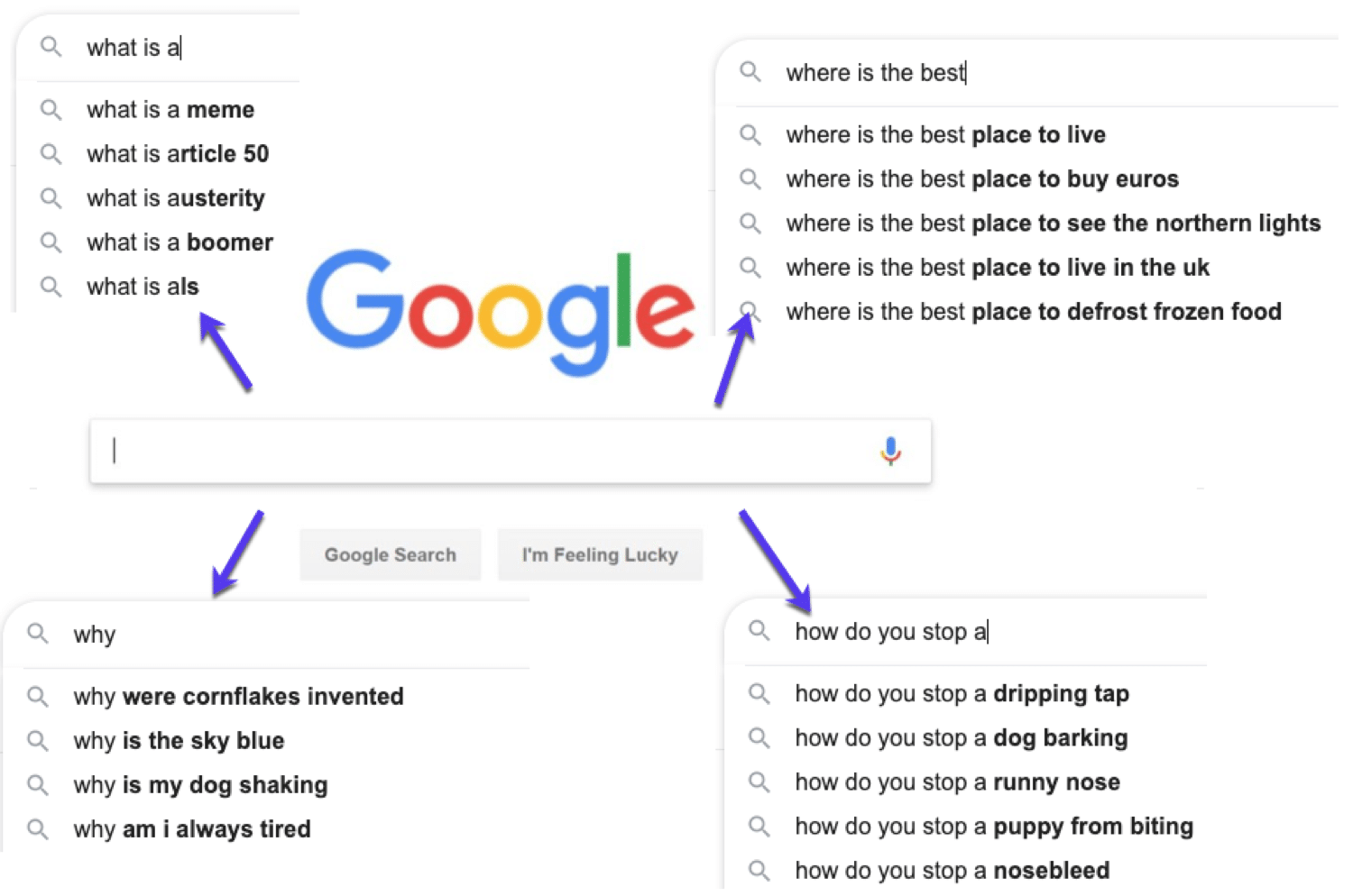 人们在Google上搜索的问题示例