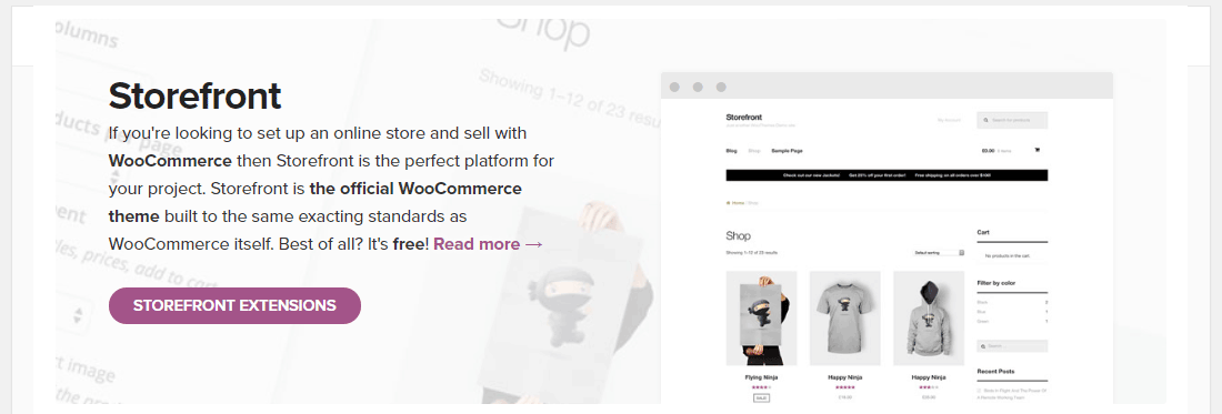 選擇一個快速的WooCommerce主題（圖片來源：WP Rocket）