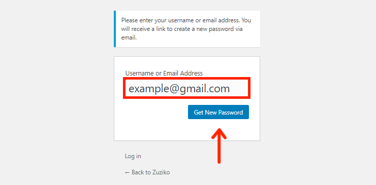 Email-New-Password