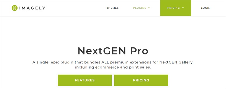 NextGEN_Pro，燈箱插件