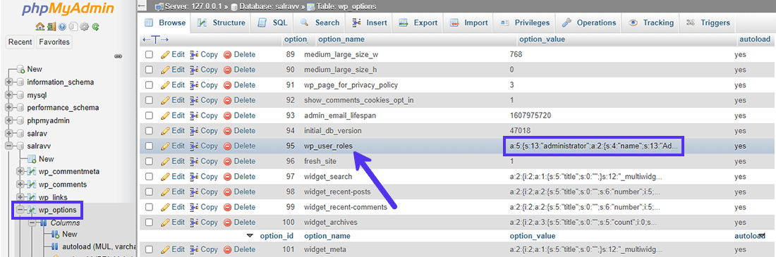 phpMyAdmin顯示WP資料庫在何處存儲功能