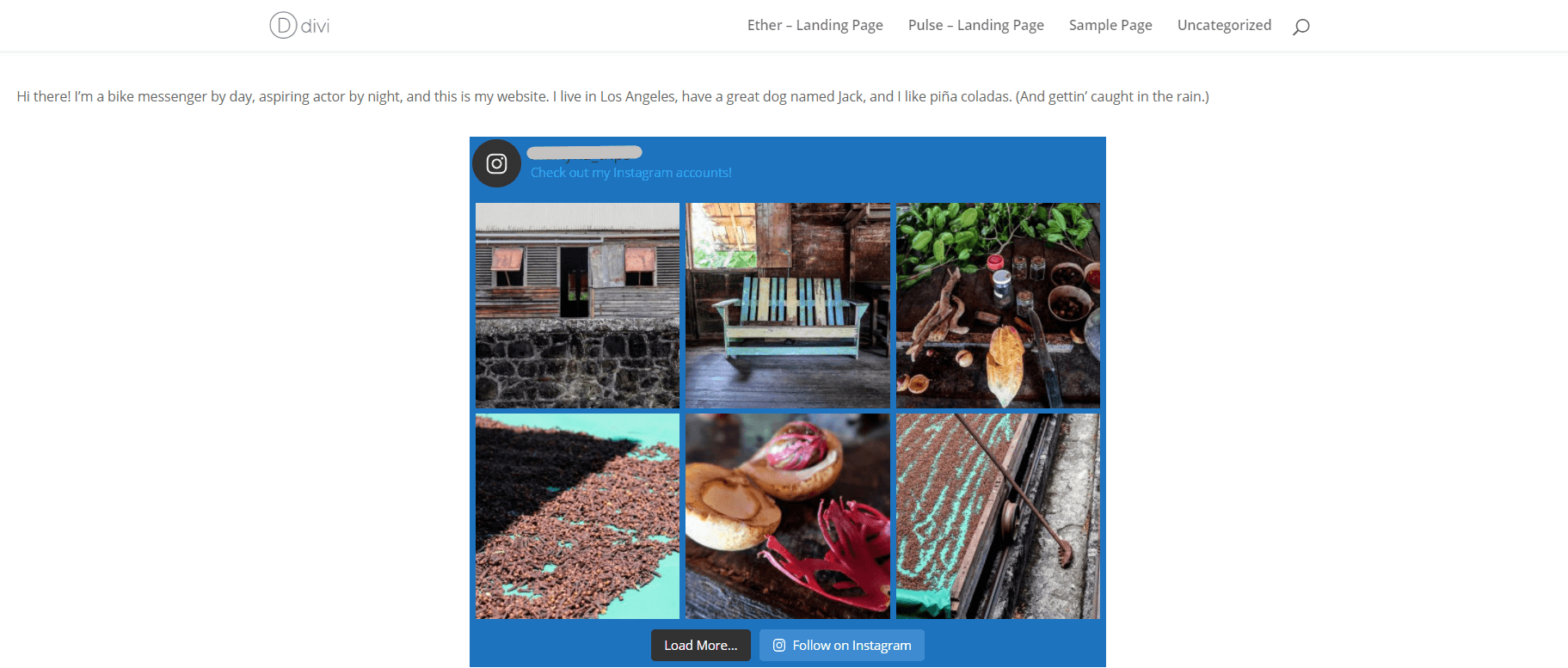 如何從多個instagram帳戶中的同一feed-on-wordpress-11上顯示圖像如何在WordPress的同一feed中顯示多個Instagram帳戶中的圖像