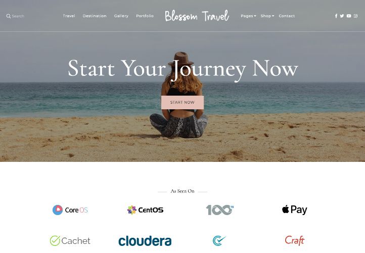 Blossom Travel Pro是一个时尚的主题