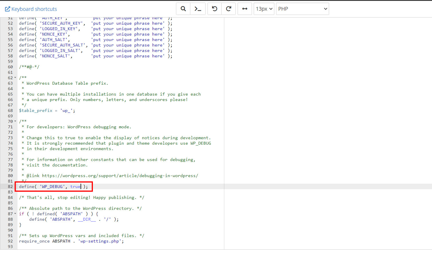 wp-debug wp-debug