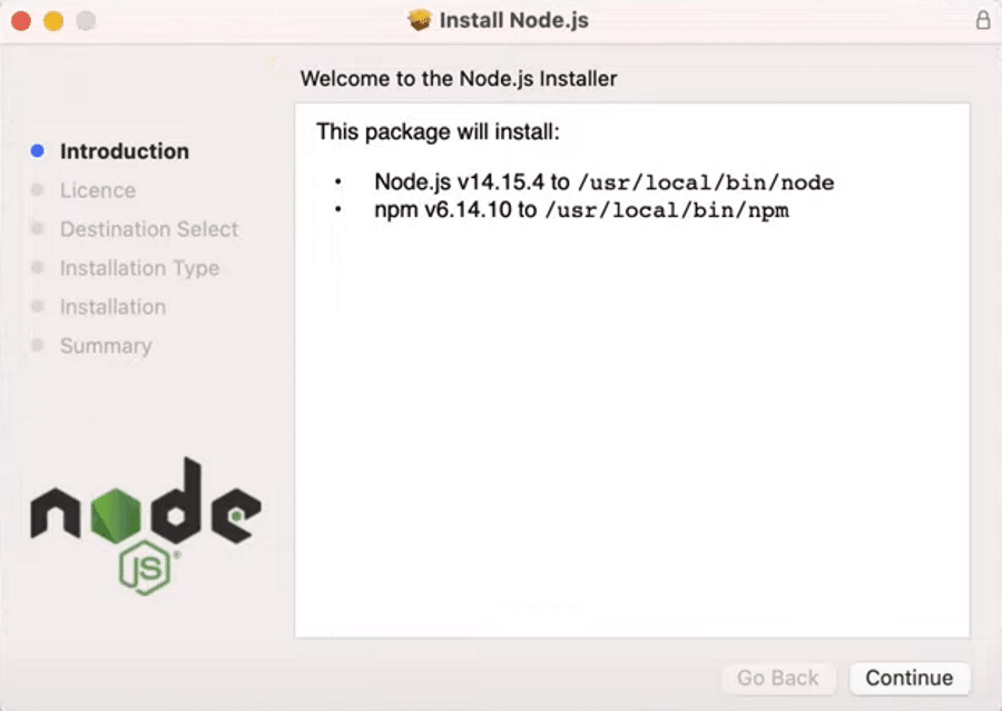 检查 Node.js macOS 安装属性。