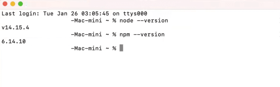 在 macOS 上验证 Node.js 安装。