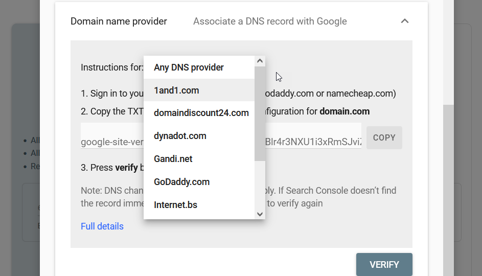 任何 DNS 提供商