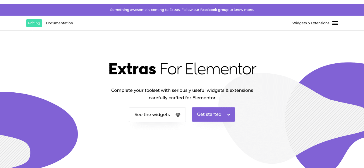 Elementor 主页的附加功能