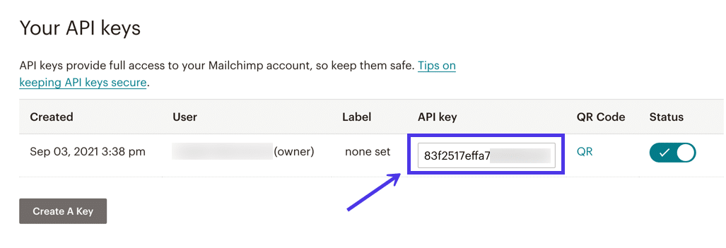 突出顯示 API 密鑰的屏幕截圖。