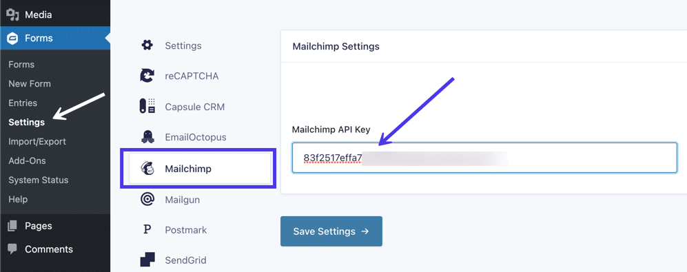 转到 Gravity Forms 下的 Settings > Mailchimp 以粘贴您的 Mailchimp API 密钥