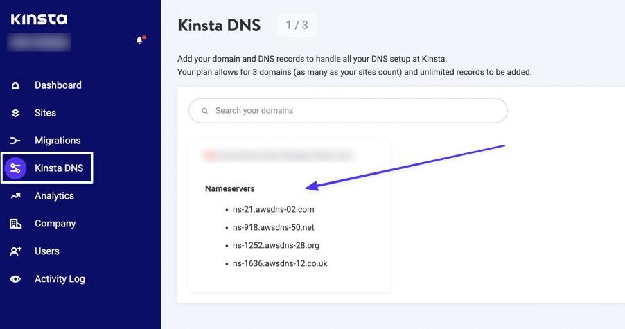 選擇-Kinsta-DNS-然後-單擊-域名