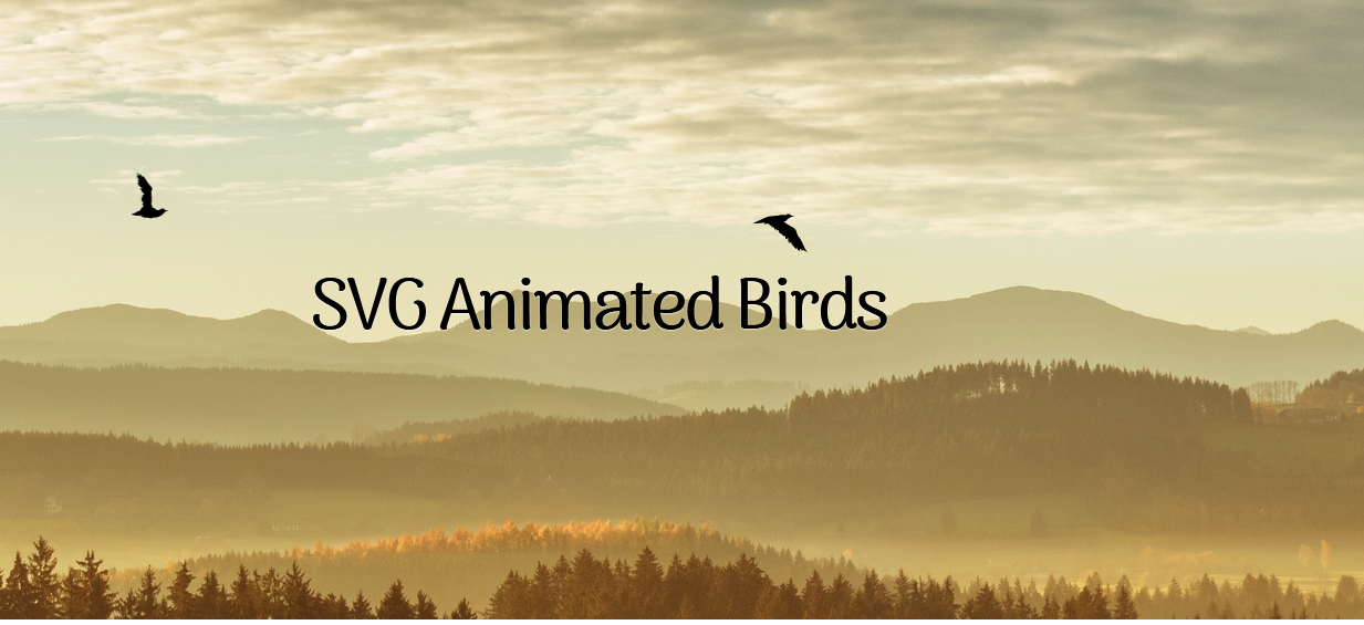 动画 SVG 鸟类