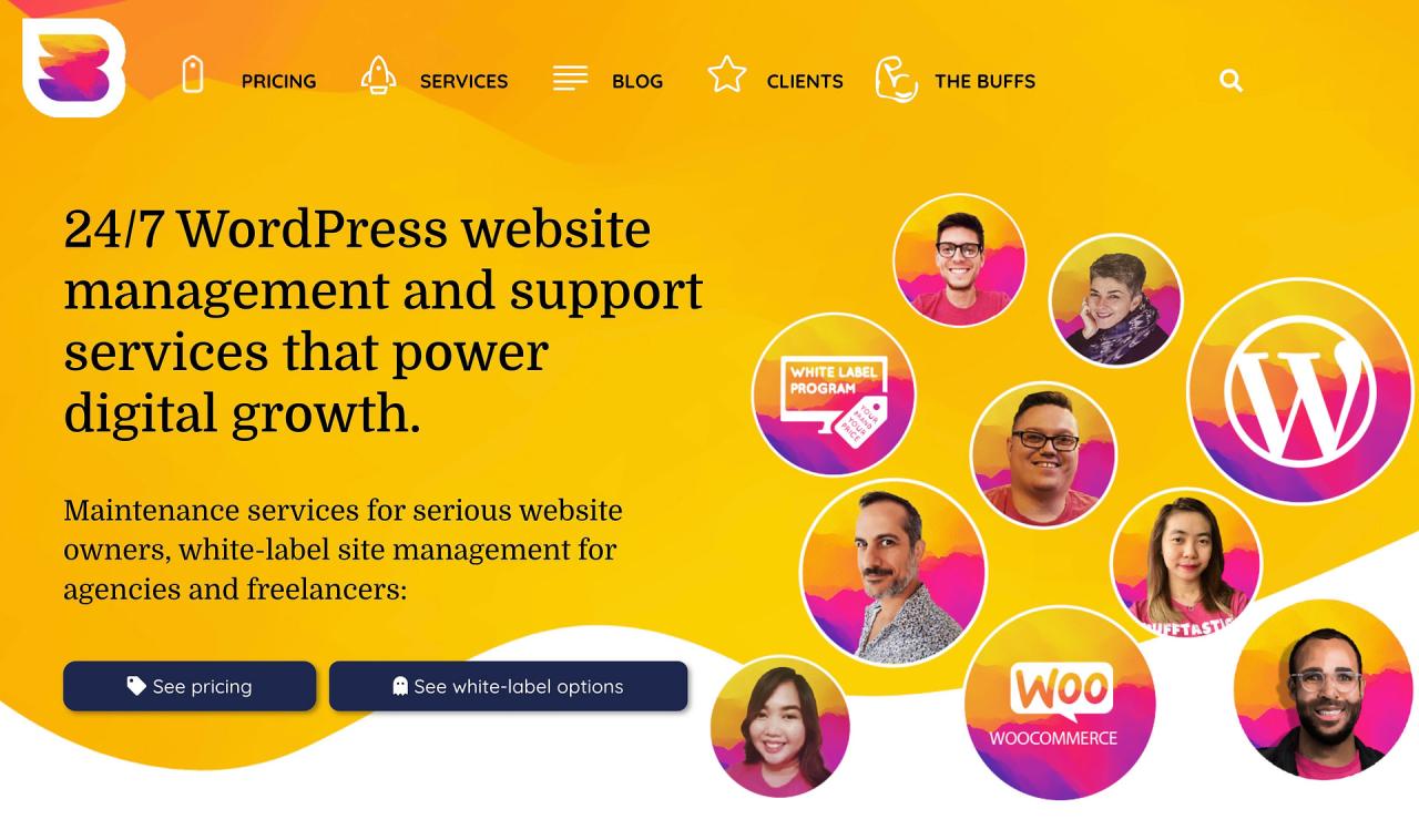 WPBuffs 是 WordPress 維護服務的一個例子