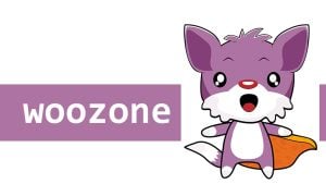 woozone-01-300x169 5 个最佳 Amazon Affiliate WordPress 插件