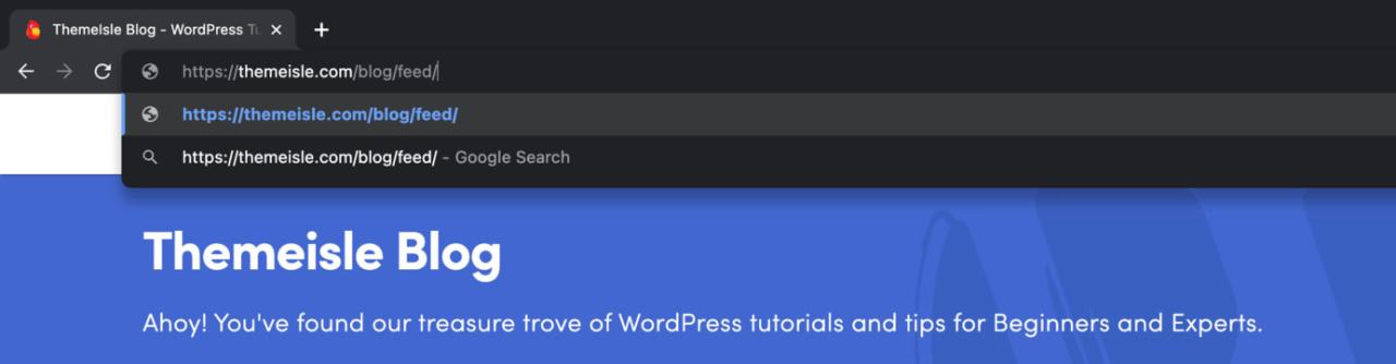 如何通過附加 /feed 找到 WordPress 網站的 RSS 提要
