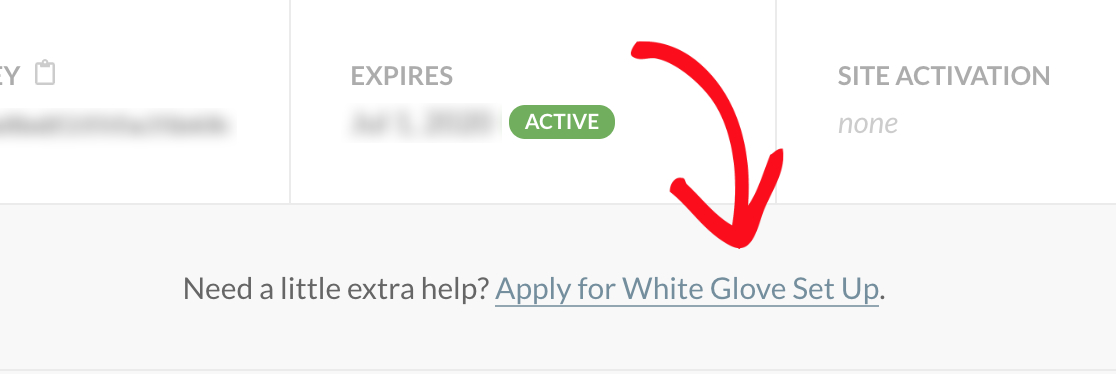 WP-Mail-SMTP-Apply-for-white-glove-setup
