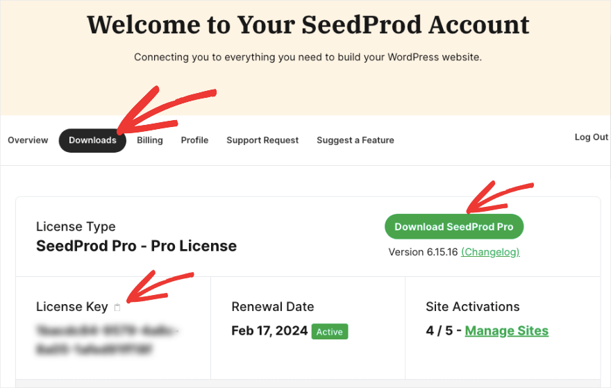 download-plugin-in-seedprod