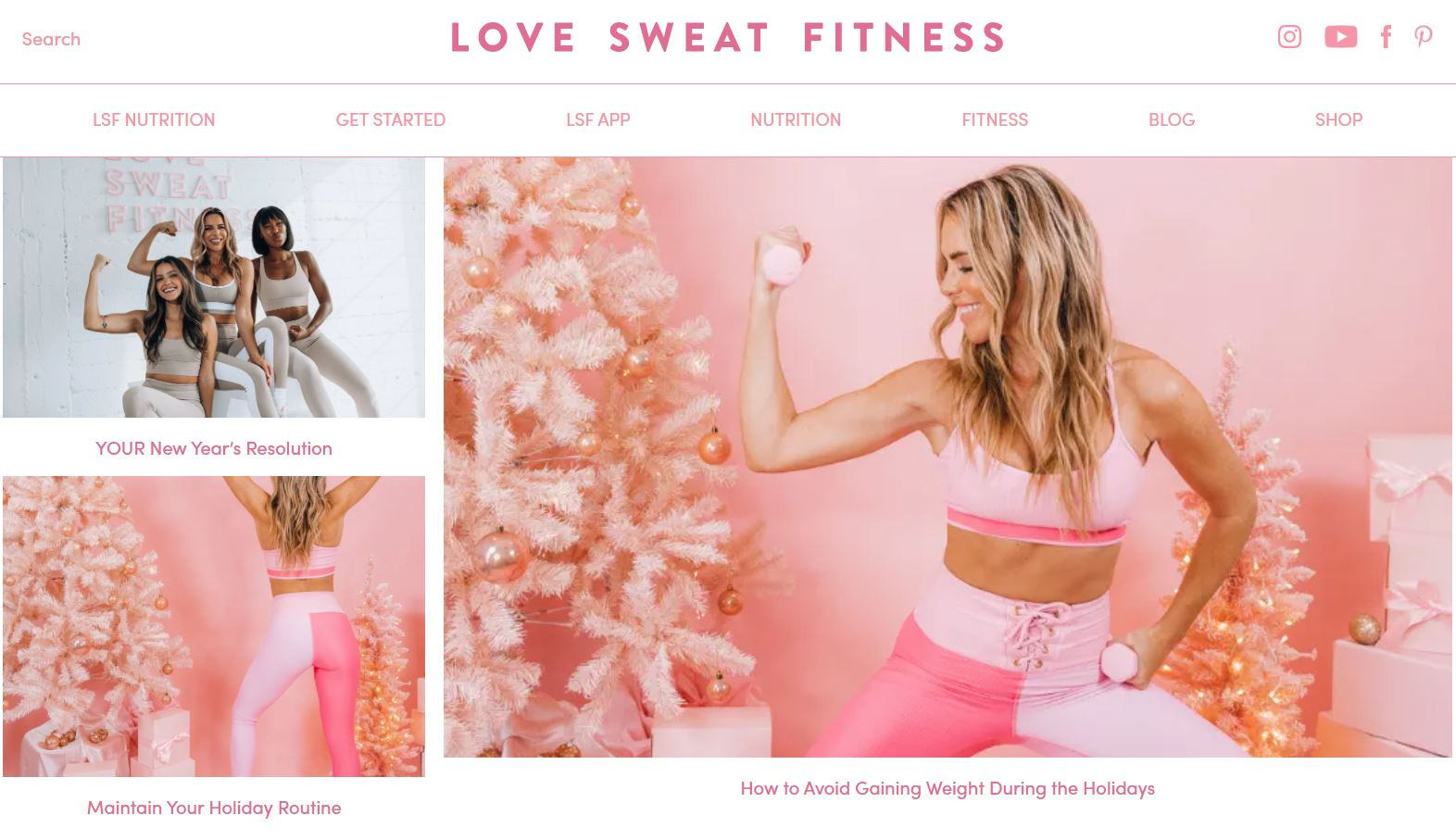 Love Sweat Fitness 博客是最赚钱的博客领域之一； 健康