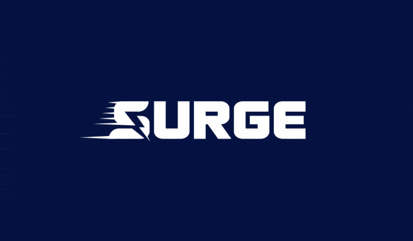Surge-a-new-page-caching-plugin-for-wordpress-with-no-configuration-required Surge：无需配置的 WordPress 新页面缓存插件